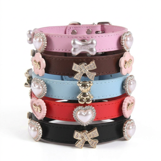 Customizable Leather Pet Collar