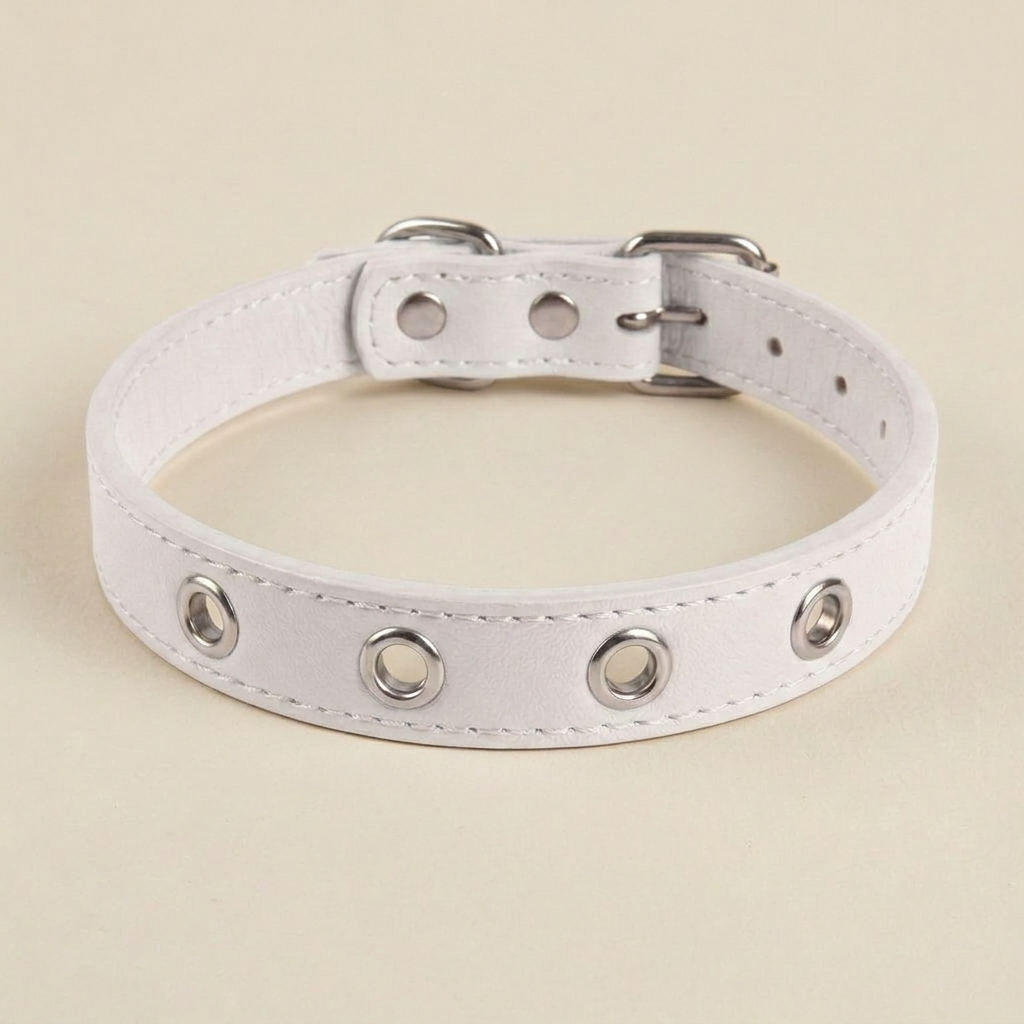 Customizable Leather Pet Collar